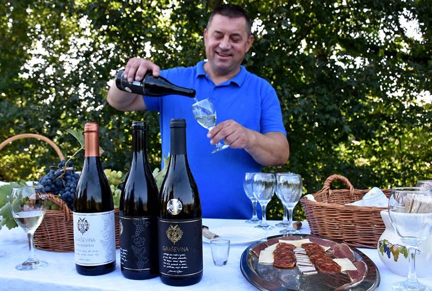MIROSLAV ŠKORO ZAVRŠIO OVOGODIŠNJU BERBU U VINOGRADU U MITROVCU: Bolji pjevač nego berač