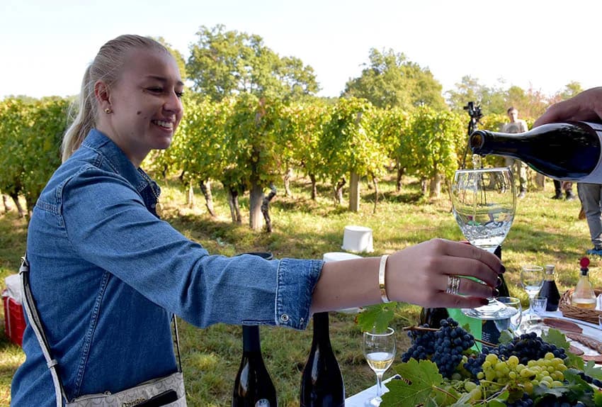 MIROSLAV ŠKORO ZAVRŠIO OVOGODIŠNJU BERBU U VINOGRADU U MITROVCU: Bolji pjevač nego berač