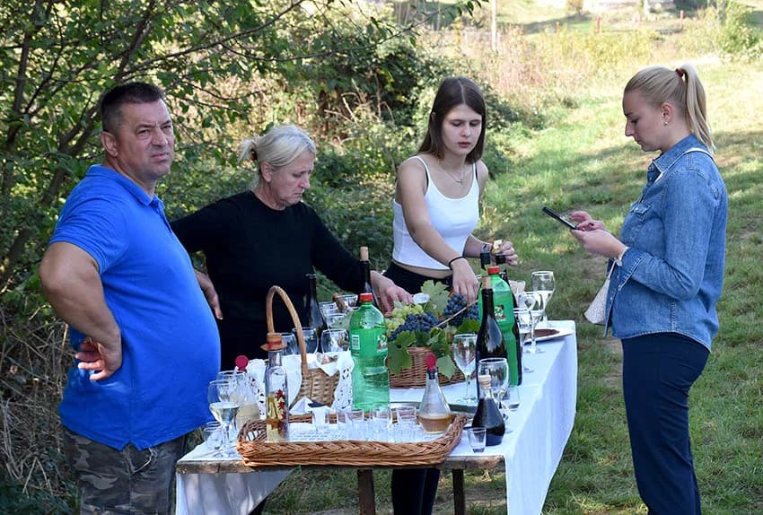 MIROSLAV ŠKORO ZAVRŠIO OVOGODIŠNJU BERBU U VINOGRADU U MITROVCU: Bolji pjevač nego berač