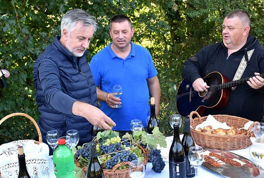 MIROSLAV ŠKORO ZAVRŠIO OVOGODIŠNJU BERBU U VINOGRADU U MITROVCU: Bolji pjevač nego berač