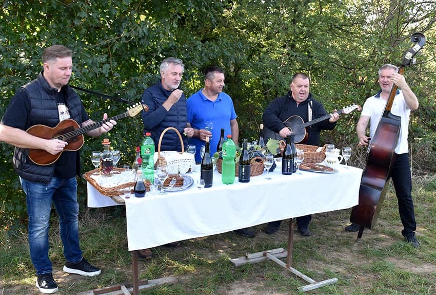 MIROSLAV ŠKORO ZAVRŠIO OVOGODIŠNJU BERBU U VINOGRADU U MITROVCU: Bolji pjevač nego berač