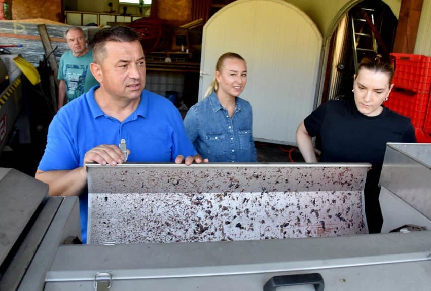 MIROSLAV ŠKORO ZAVRŠIO OVOGODIŠNJU BERBU U VINOGRADU U MITROVCU: Bolji pjevač nego berač