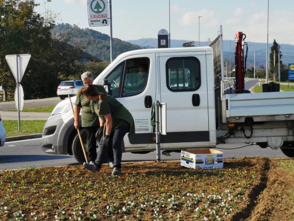 Za lijepu zimu i šareno proljeće: U tijeku jesensko uređenje zelenih površina