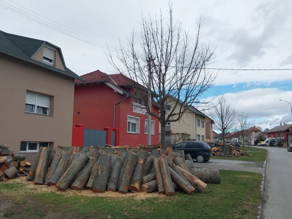 Komunalac poručuje građanima: Nemojte orezivati stabla na javnim površinama