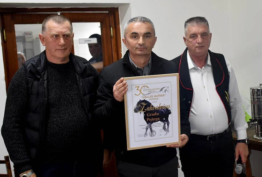 Konjogojci Vallis aurea proslavili 30 godina rada udruge – uručene zahvalnice zaslužnima