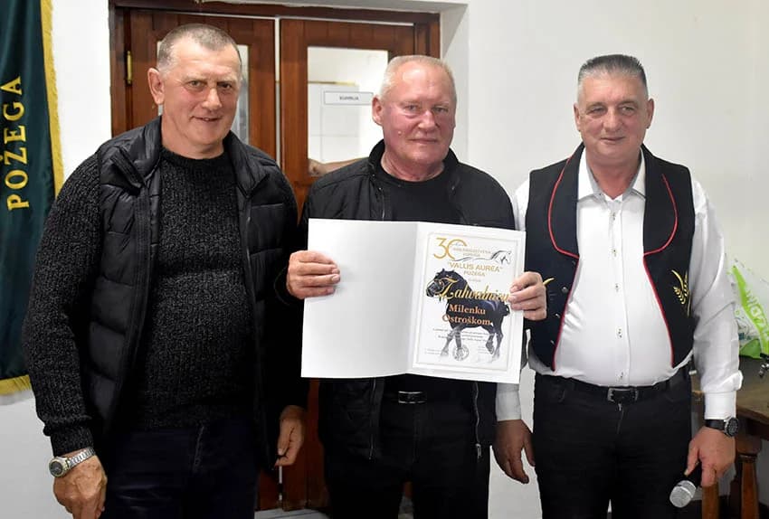 Konjogojci Vallis aurea proslavili 30 godina rada udruge – uručene zahvalnice zaslužnima