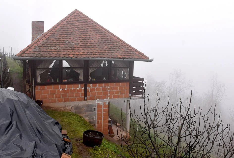POŽEŠKI VINOGRADARI SLAVILI GRGUREVO: Vikend u znaku obilne kiše