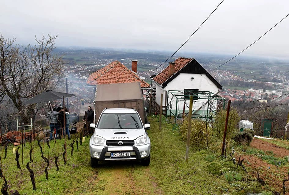 POŽEŠKI VINOGRADARI SLAVILI GRGUREVO: Vikend u znaku obilne kiše