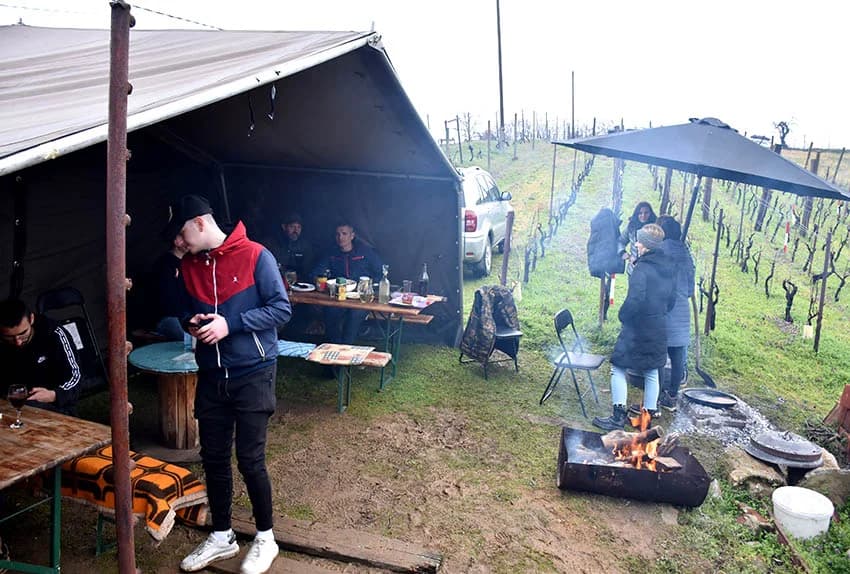 POŽEŠKI VINOGRADARI SLAVILI GRGUREVO: Vikend u znaku obilne kiše