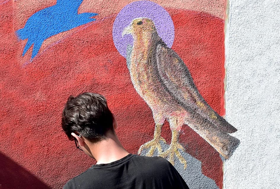 Mural na Sokolovcu iznad Požege koji plijeni ljepotom