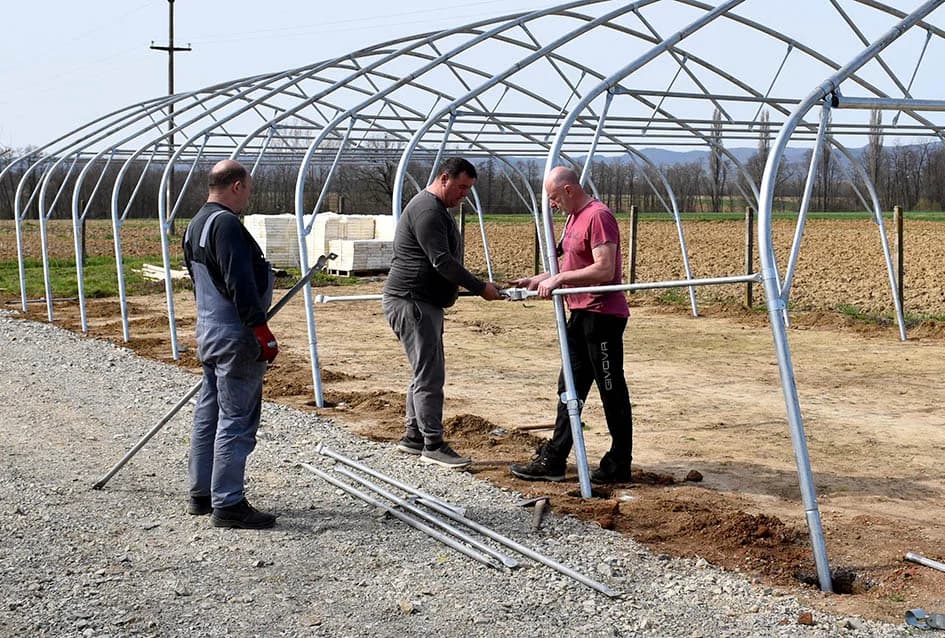 Novi plastenik za presadnice kupusa alilovačke obitelji Ciganović