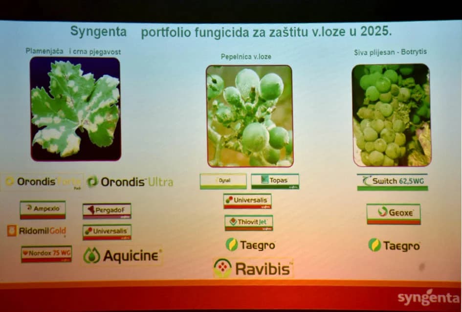 Održano stručno predavanje o zaštiti vinograda