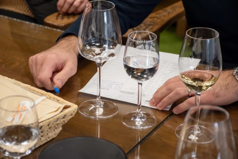 Ekskluzivna selekcija novih vina u Trezoru 1232