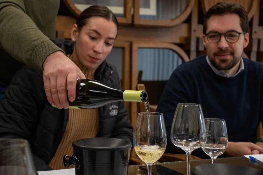 Ekskluzivna selekcija novih vina u Trezoru 1232