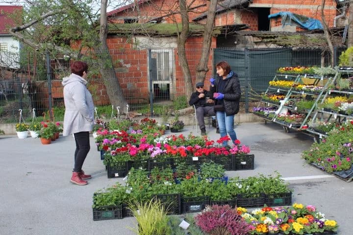 Najbolje kolače pripremile Ankica Abramović i Ruža Marjanović iz Pleternice