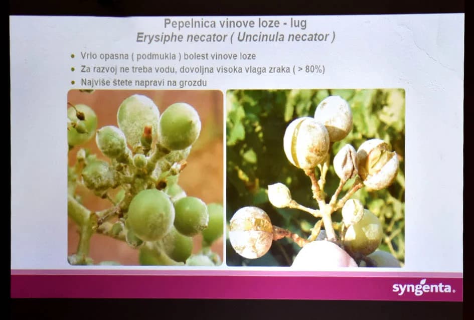 UDRUGA „STJEPAN KOYDL“ IZ POŽEGE: Održali skupštinu i stručno predavanje