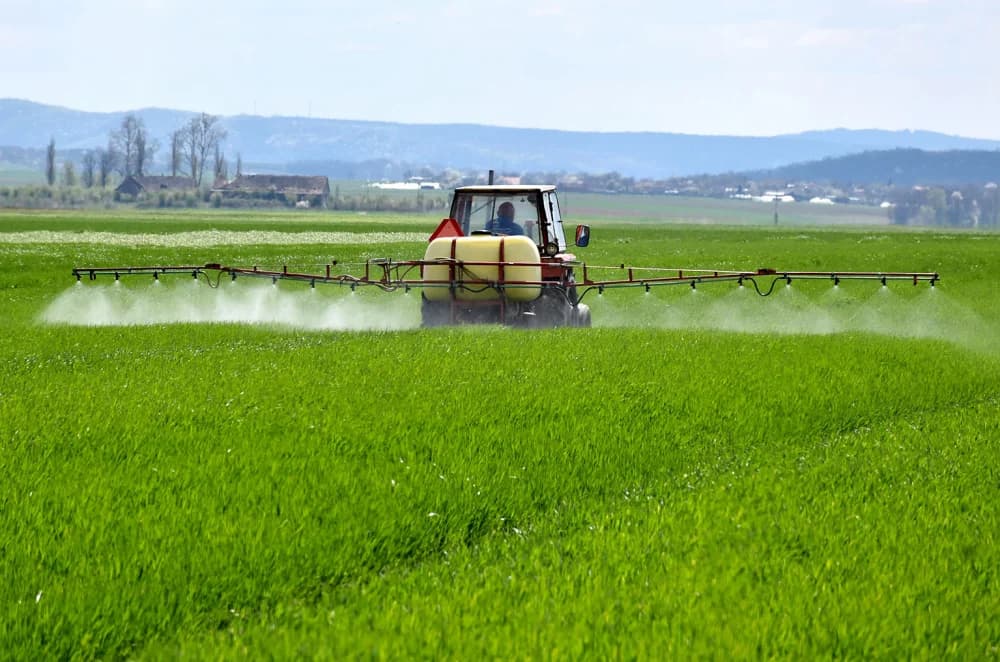 NAKON KIŠE RATARI NA NJIVAMA: Zaštita ozimih žitarica od korova