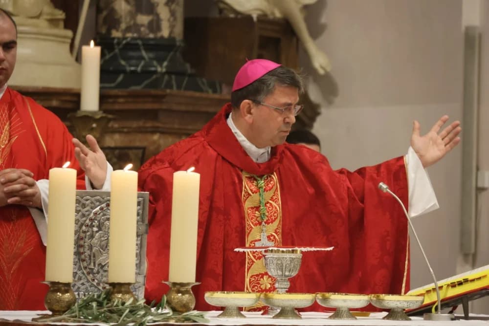 /FOTOGALERIJA/ Nedjelja Muke Gospodnje – Cvjetnica u požeškoj Katedrali