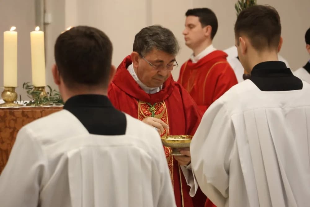 /FOTOGALERIJA/ Nedjelja Muke Gospodnje – Cvjetnica u požeškoj Katedrali
