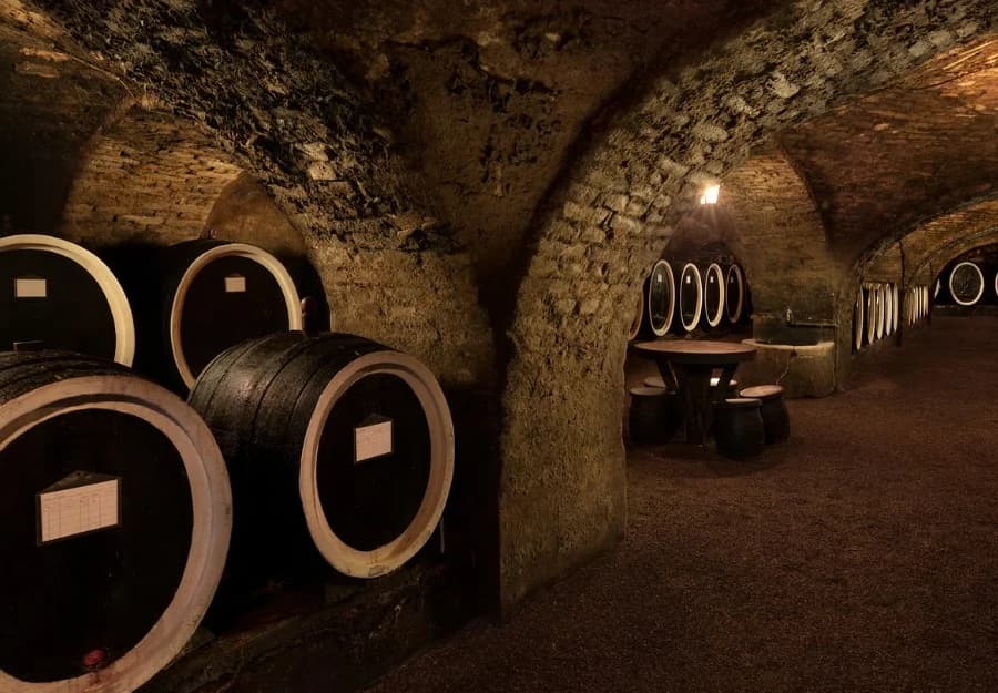 Agroturizam u srcu Zlatne doline - doživite Vinariju Kutjevo na jedinstven način