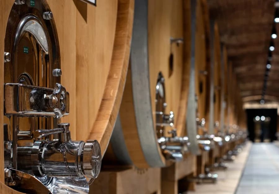 Agroturizam u srcu Zlatne doline - doživite Vinariju Kutjevo na jedinstven način