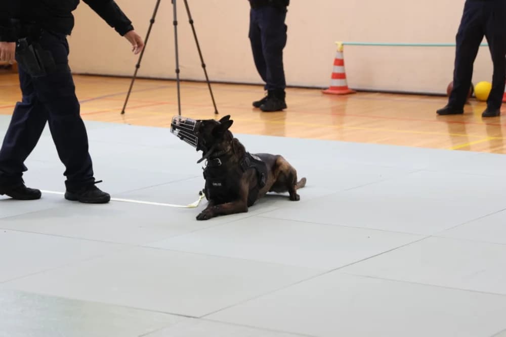 Dan otvorenih vrata policije u Požegi