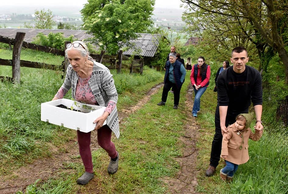Tradicionalna razmjena presadnica u Požegi u znaku egzotičnog bilja