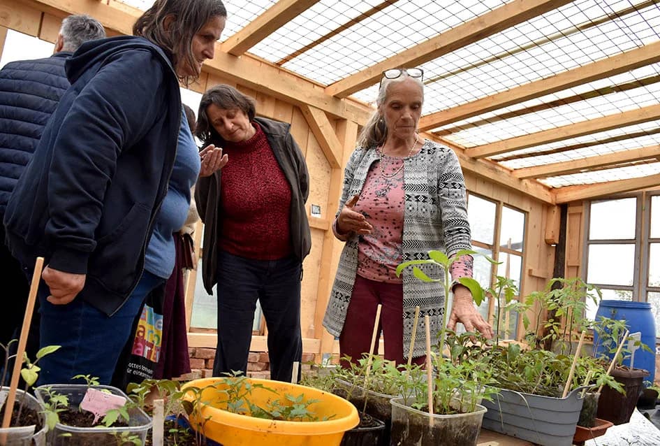 Tradicionalna razmjena presadnica u Požegi u znaku egzotičnog bilja