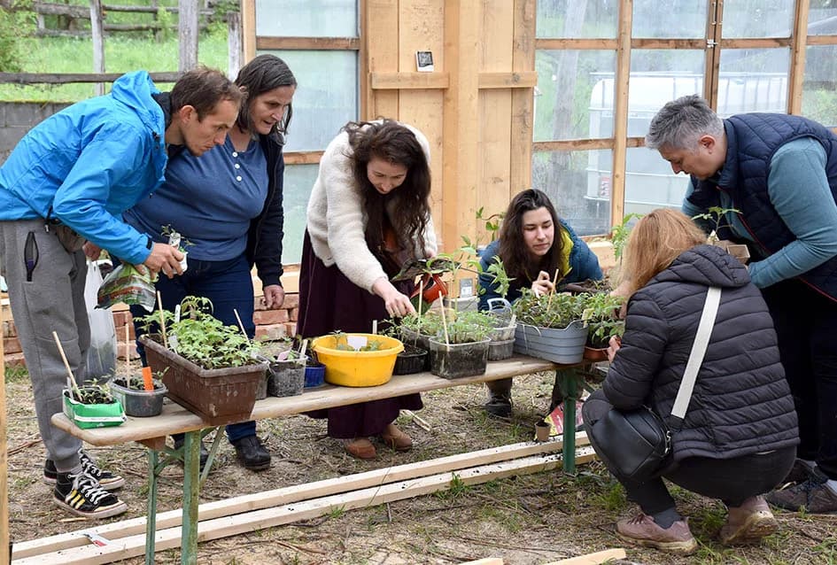Tradicionalna razmjena presadnica u Požegi u znaku egzotičnog bilja