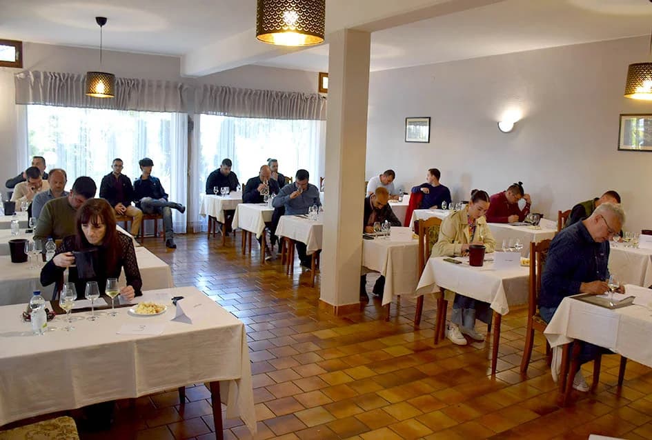 Graševina Zagrepčana Tomislava Matuneca šampionsko vino na ocjenjivanju u Kaptolu