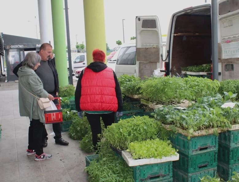 Najbolje domaće palačinke pripremili članovi KUD-a „Orljava“ Pleternica i Marica Uhrin