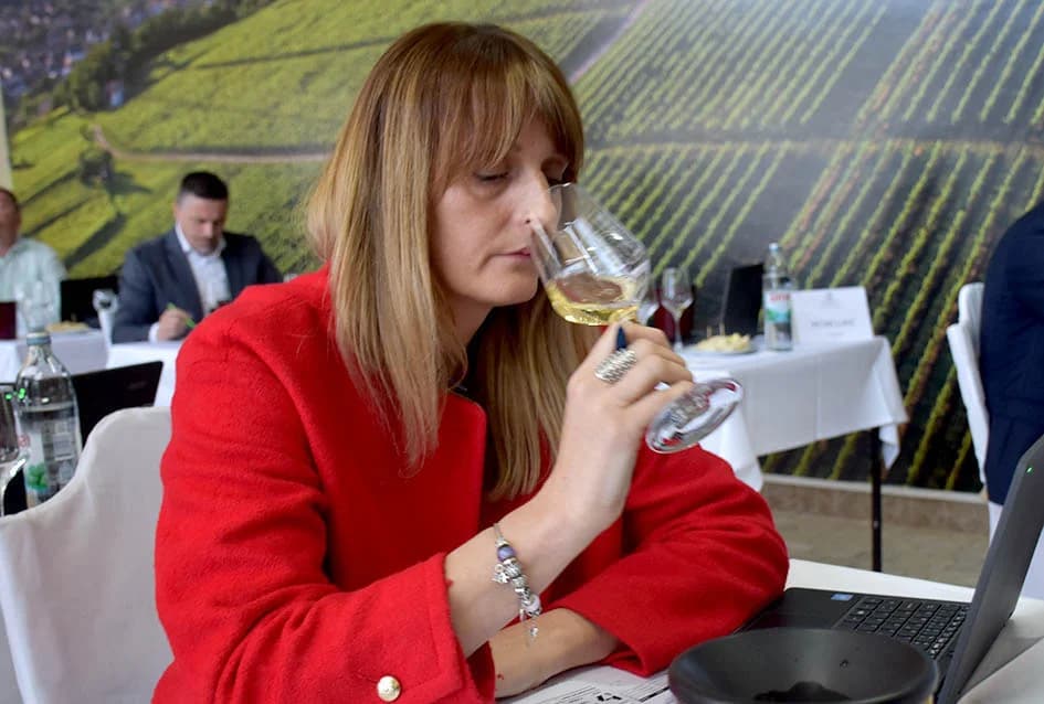 Ocjenjivanjem vina počeo Festival graševine u Kutjevu: Gotovo polovica uzoraka u zlatu