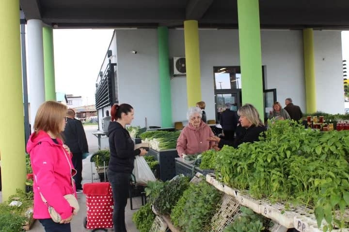Svibanjski buvljak na prostoru Gradske tržnice u Pleternici
