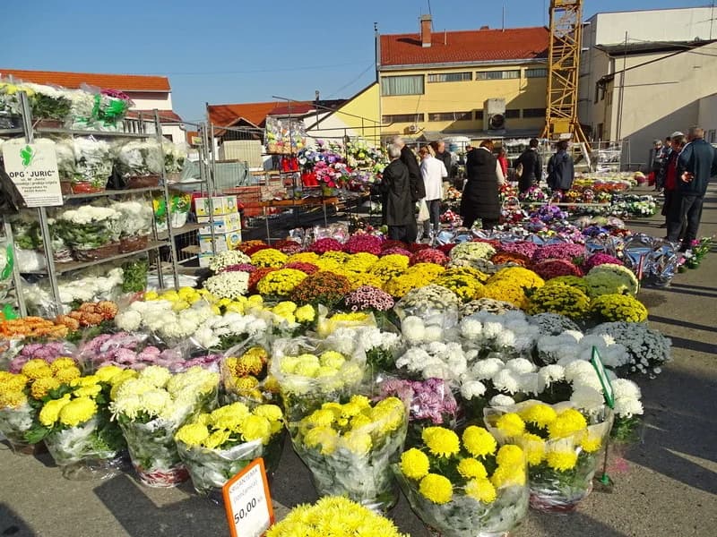 Od subote 28. listopada ʼCvjećarnaʼ iza Gradske kuće