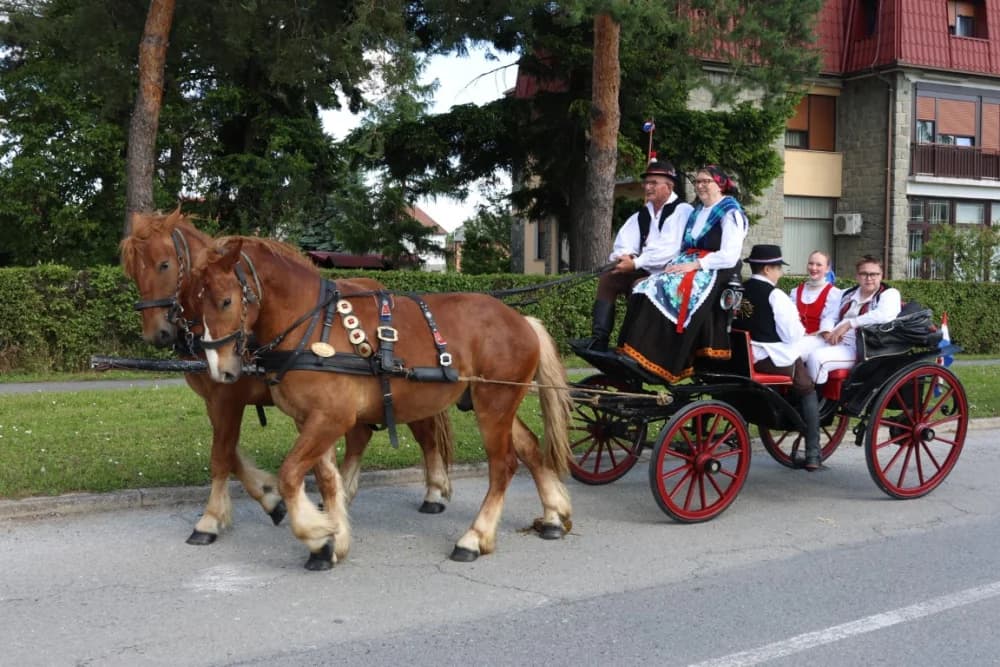 (VELIKA FOTOGALERIJA) Povorka koja je krasila ulice Velike: S ponosom predstavili tradiciju kraja iz kojeg dolaze
