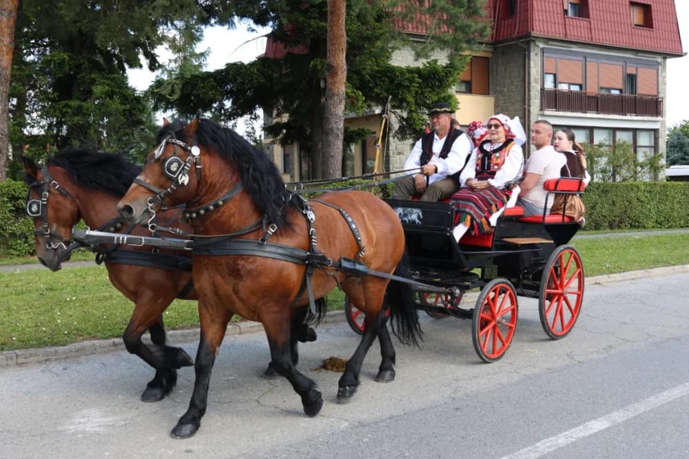 (VELIKA FOTOGALERIJA) Povorka koja je krasila ulice Velike: S ponosom predstavili tradiciju kraja iz kojeg dolaze