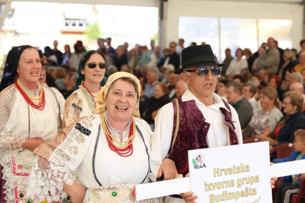 (VELIKA FOTOGALERIJA) Povorka koja je krasila ulice Velike: S ponosom predstavili tradiciju kraja iz kojeg dolaze