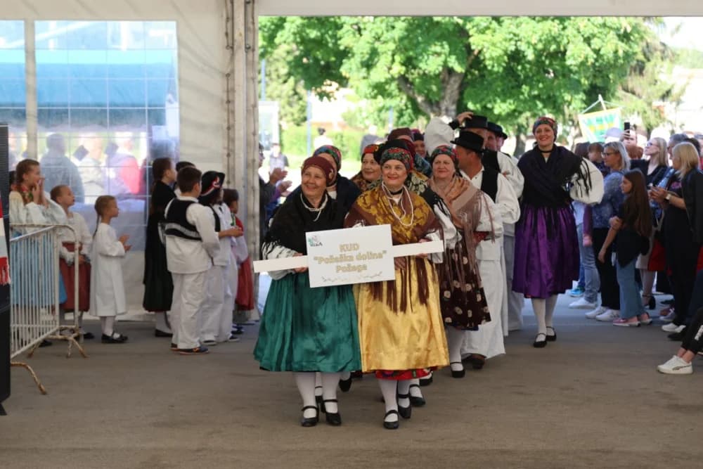 (VELIKA FOTOGALERIJA) Povorka koja je krasila ulice Velike: S ponosom predstavili tradiciju kraja iz kojeg dolaze