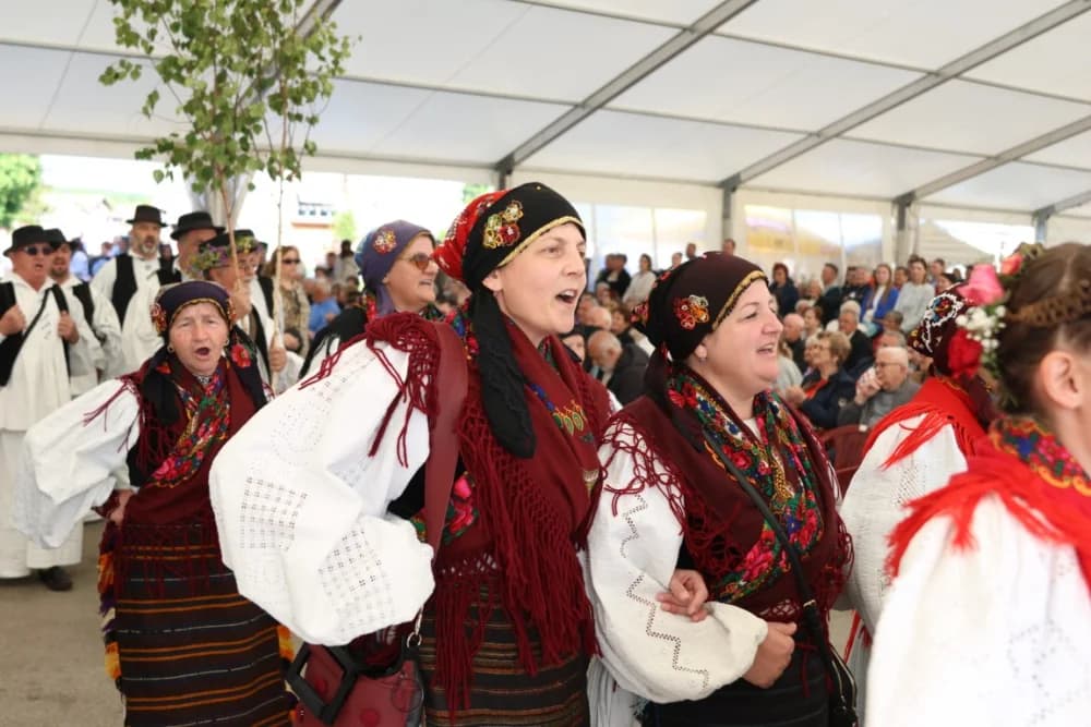 (VELIKA FOTOGALERIJA) Povorka koja je krasila ulice Velike: S ponosom predstavili tradiciju kraja iz kojeg dolaze