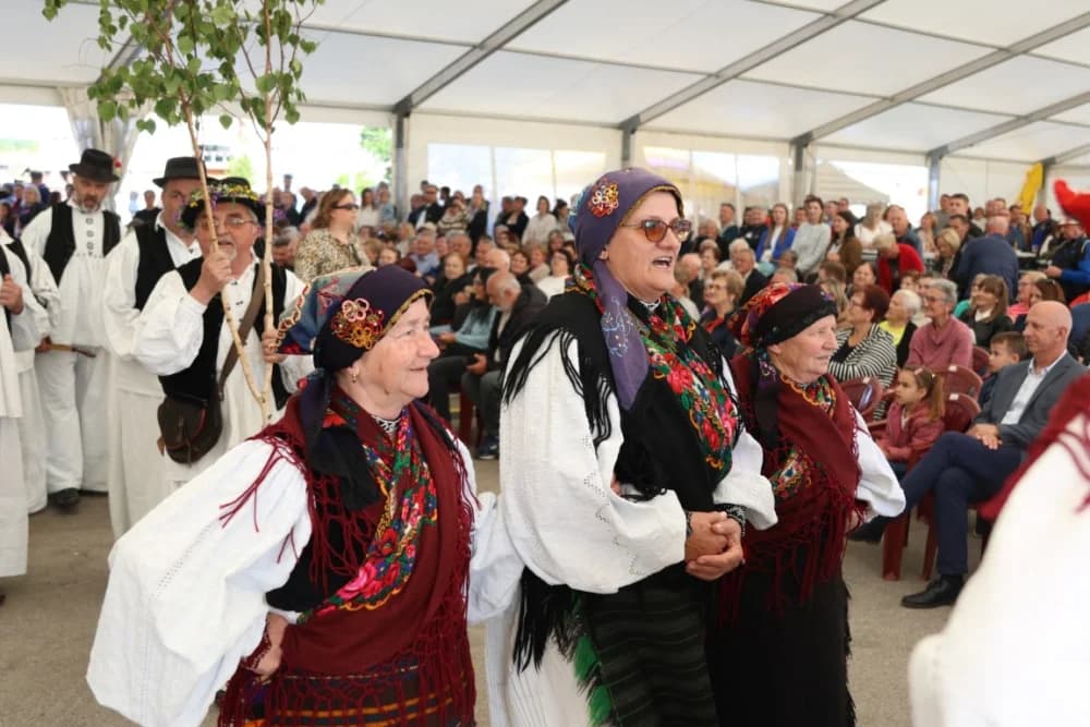 (VELIKA FOTOGALERIJA) Povorka koja je krasila ulice Velike: S ponosom predstavili tradiciju kraja iz kojeg dolaze