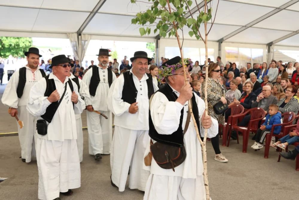 (VELIKA FOTOGALERIJA) Povorka koja je krasila ulice Velike: S ponosom predstavili tradiciju kraja iz kojeg dolaze