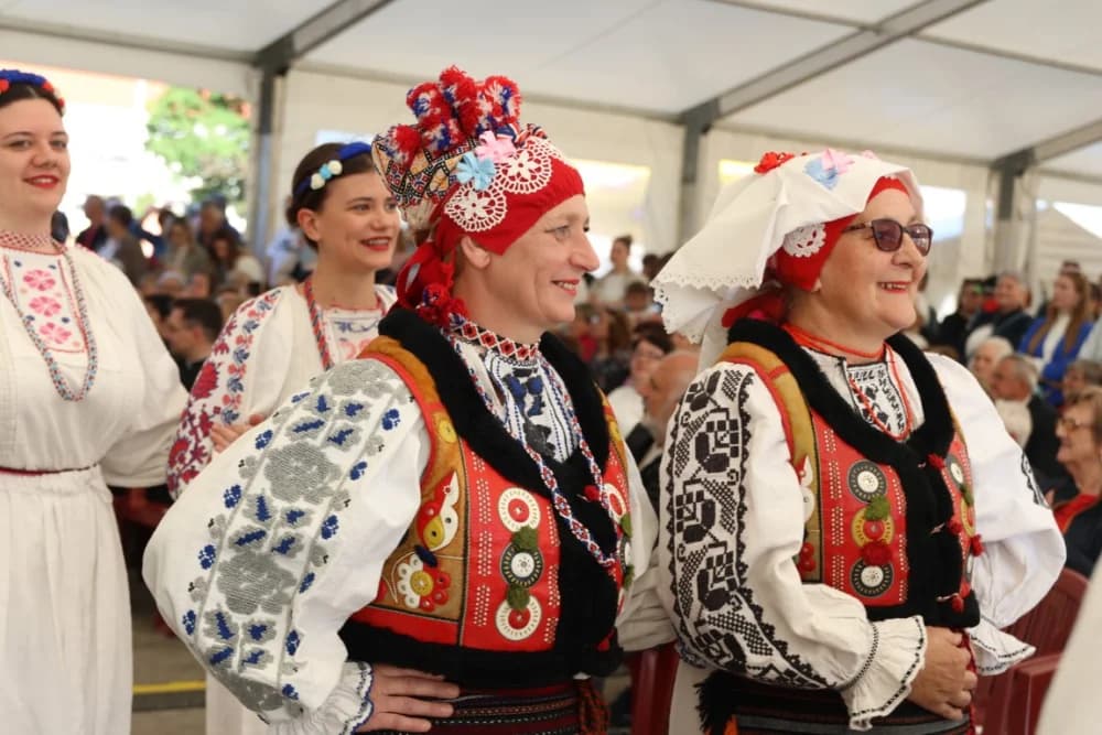 (VELIKA FOTOGALERIJA) Povorka koja je krasila ulice Velike: S ponosom predstavili tradiciju kraja iz kojeg dolaze