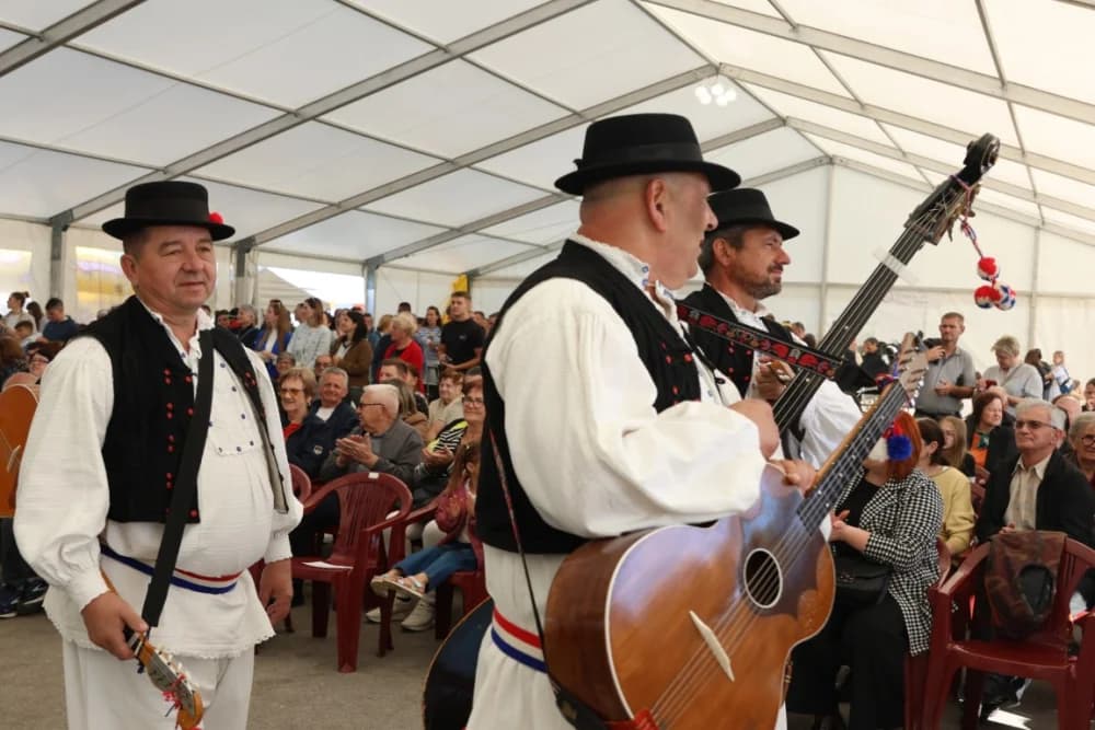 (VELIKA FOTOGALERIJA) Povorka koja je krasila ulice Velike: S ponosom predstavili tradiciju kraja iz kojeg dolaze