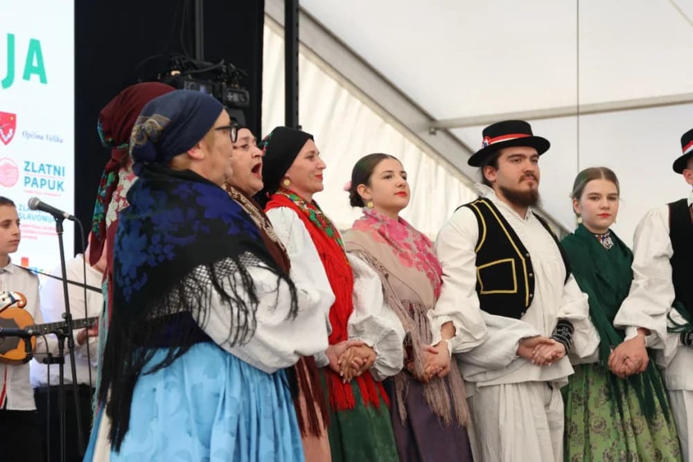 (VELIKA FOTOGALERIJA) Povorka koja je krasila ulice Velike: S ponosom predstavili tradiciju kraja iz kojeg dolaze