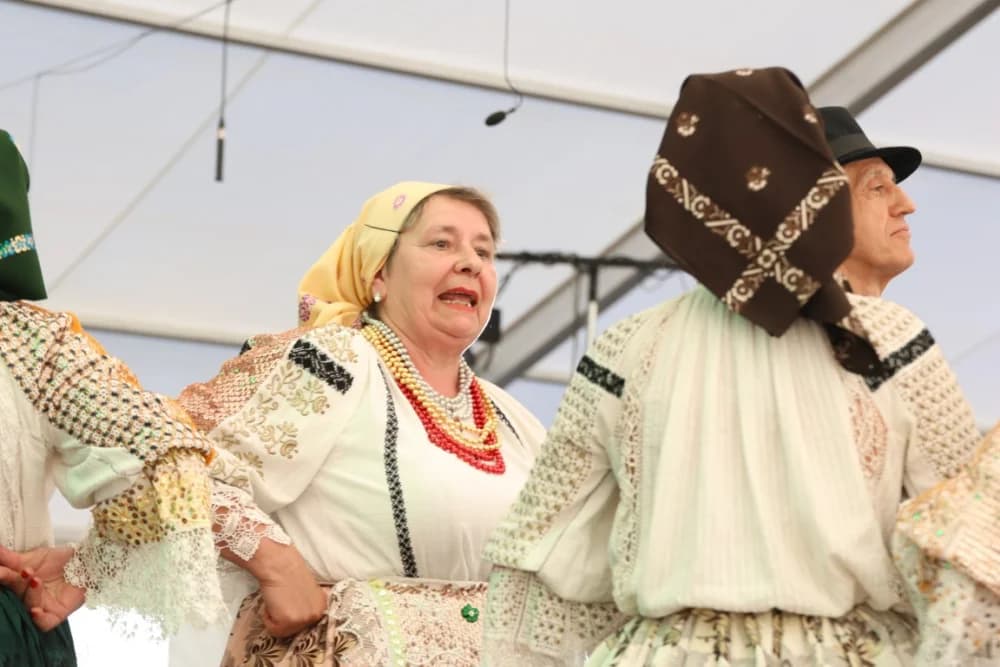 (VELIKA FOTOGALERIJA) Povorka koja je krasila ulice Velike: S ponosom predstavili tradiciju kraja iz kojeg dolaze
