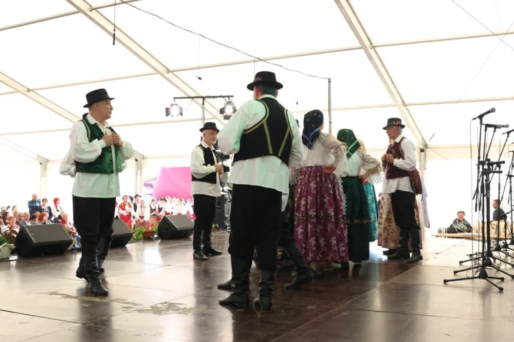 (VELIKA FOTOGALERIJA) Povorka koja je krasila ulice Velike: S ponosom predstavili tradiciju kraja iz kojeg dolaze
