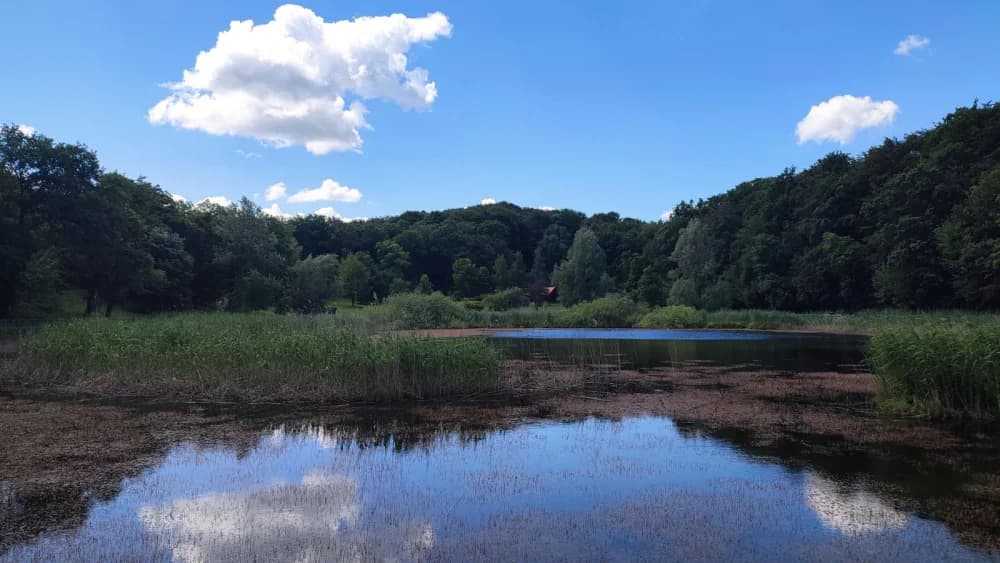 Sovsko jezero okupilo planinare, pjesnike i slikare u nezaboravnom susretu