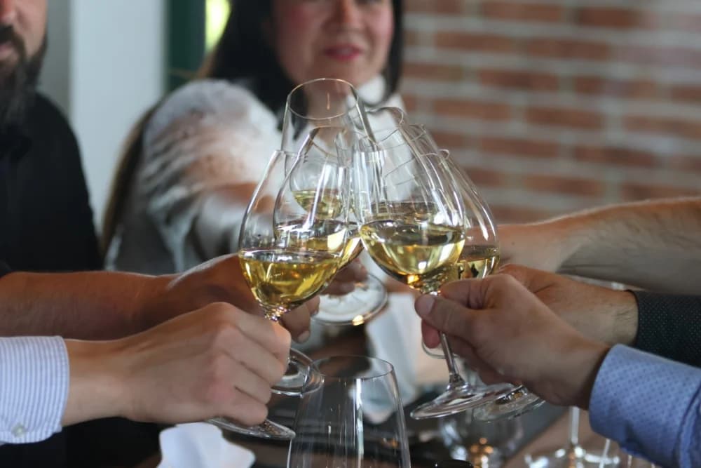 Vrhunski okusi i nova ljetna priča u Slavonskoj kući Vinkomir