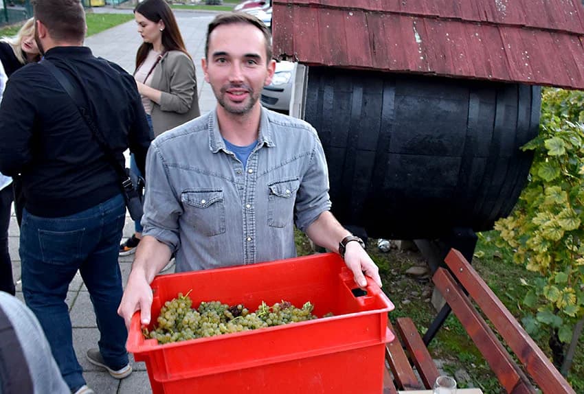 KRAJ BERBE GROŽĐA POD KRNDIJOM: Novi vincilir OPG Kristina Svitok [FOTO]