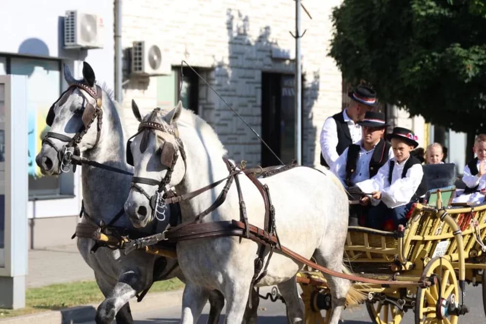 Povorka konjanika i konjskih zaprega ta članova kulturno-umjetničkih društava ulicama grada Pleternice